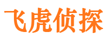 民和侦探